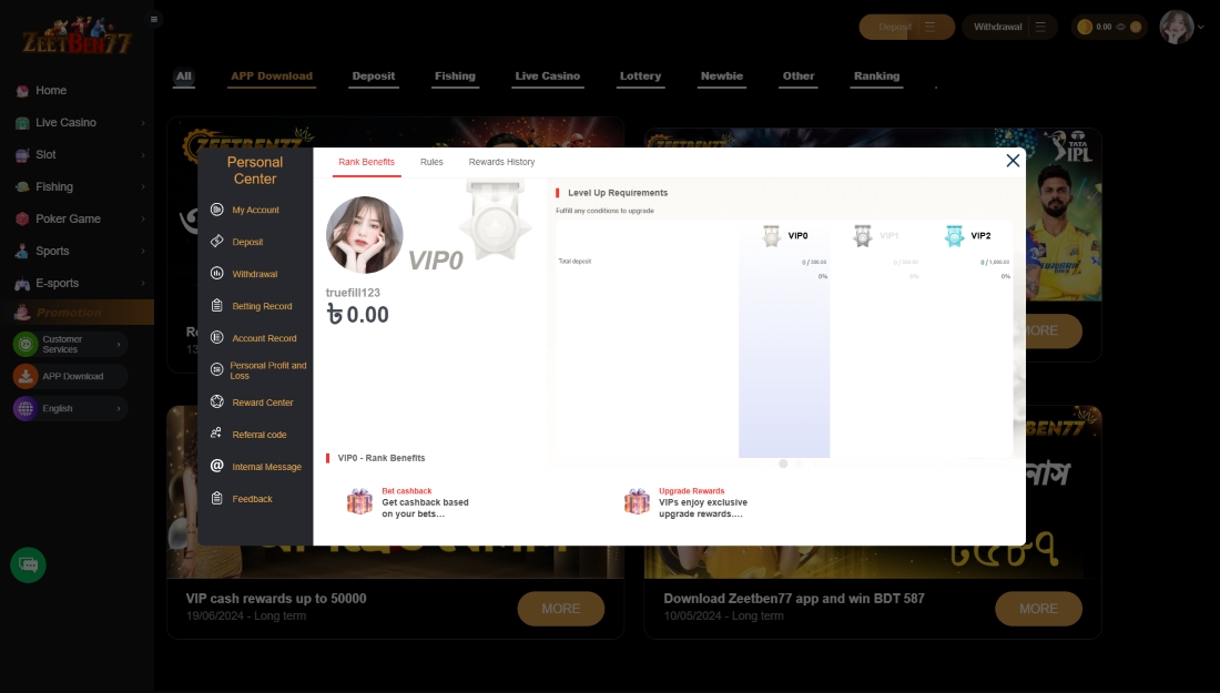 User VIP level status showing total deposit progress and benefits for VIP0 to VIP2 levels
